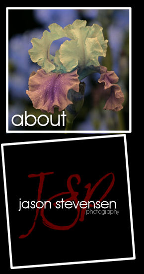 Jason Stevensen Photography